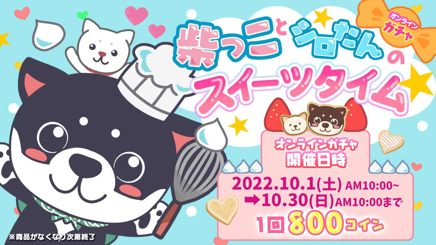 柴っことシロたんのスイーツタイム☆